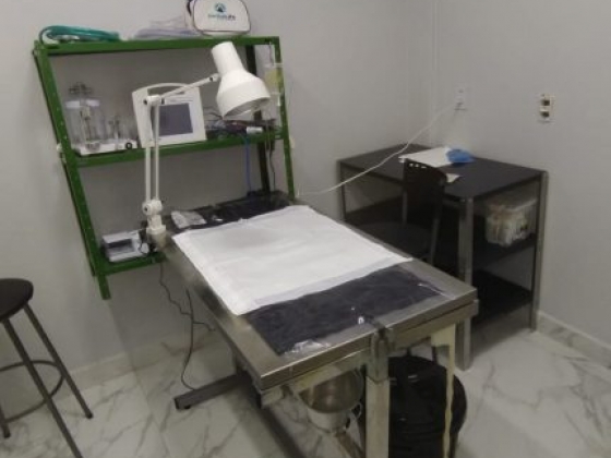 Vet Lobo Clinica Veterinária Sobradinho