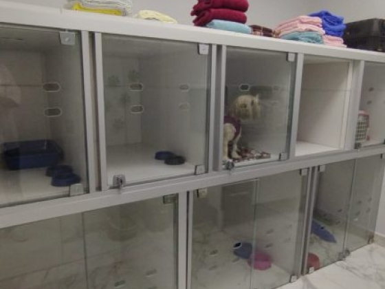 Vet Lobo Clinica Veterinária Sobradinho